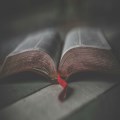 Sunday 13 Apr 2025  - Death Sting or Victory